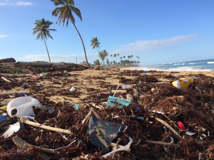 Как пластик проникает в организм человека? Сегодня человечество буквально отравляет планету пластиком. Фото.
