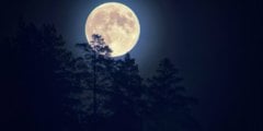 Как Луна влияет на человека? Фото.