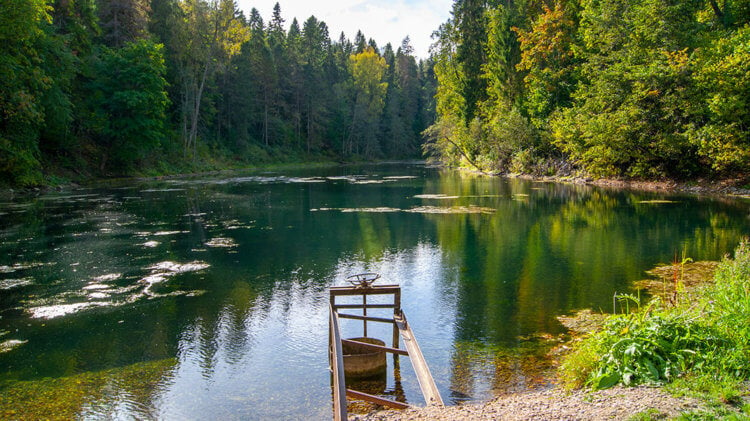 Что такое инертные газы? Радоновое озеро в селе Лопухинка Ленинградской области. Фото.