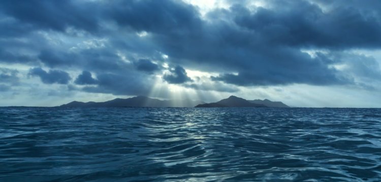 Температура воды в Тихом океане растет — и это очень плохо. Даже незначительное повышение температуры воды может обернуться экологической катастрофой. Фото.