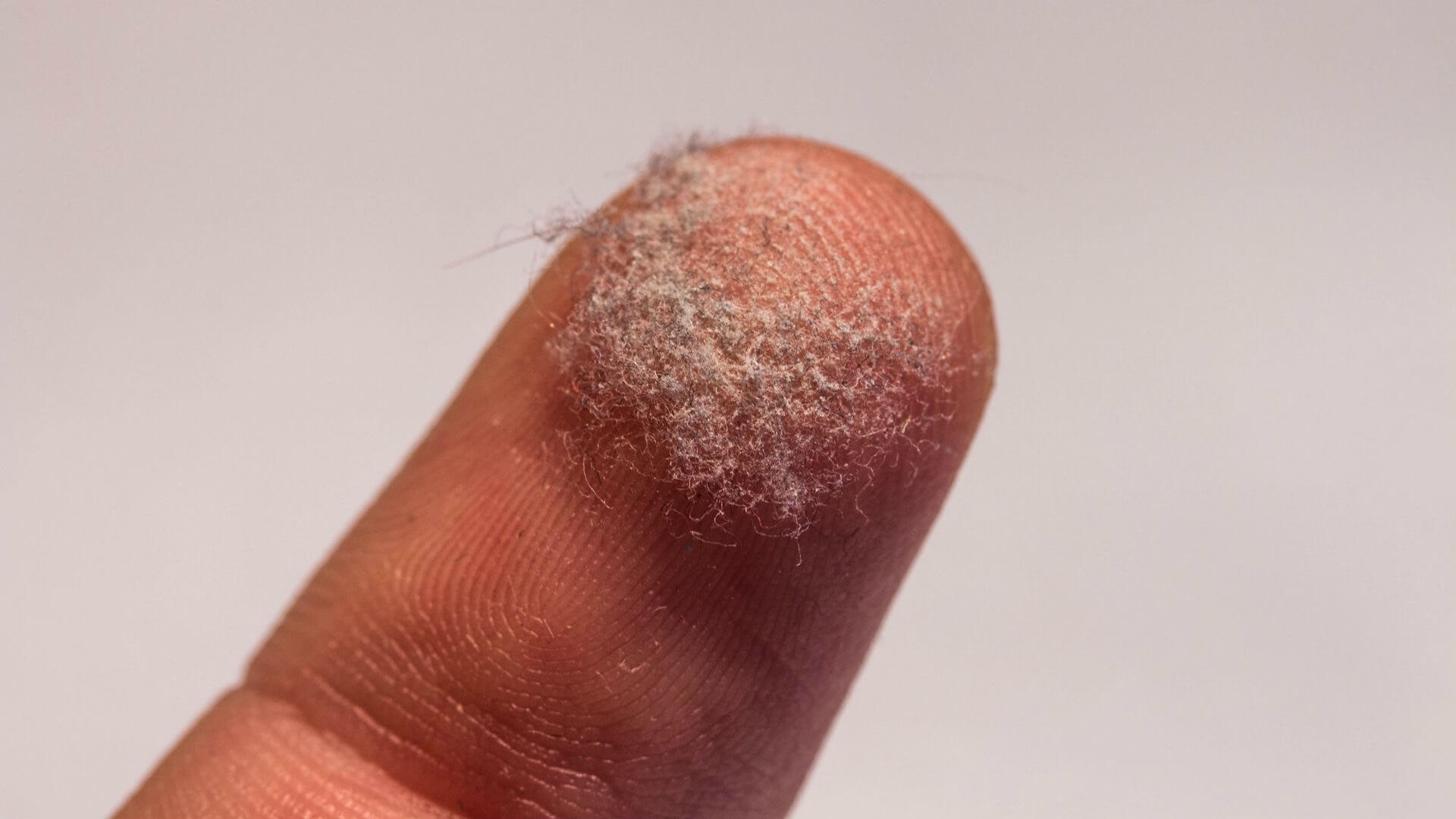 Так выглядит домашняя пыль НЕ под микроскоп. Фото.