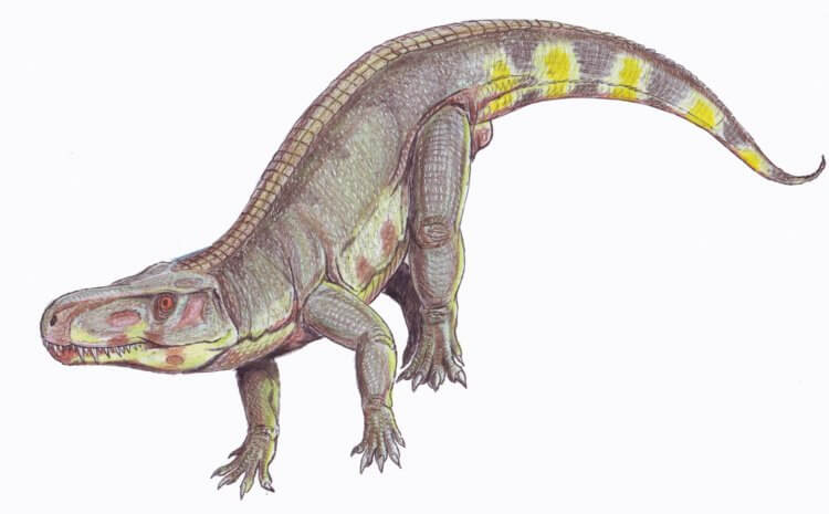 Главные враги динозавров. Примерно так выглядели рептилии Rauisuchia. Фото.