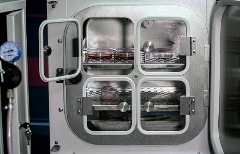 «Пробирки», в которых выращивалось мясо. Фото.