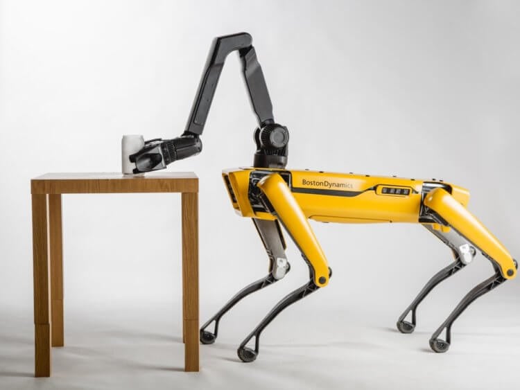 #видео | Чем робот с гибкими ногами лучше роботов Boston Dynamics? Робот SpotMini от Boston Dynamics. Фото.