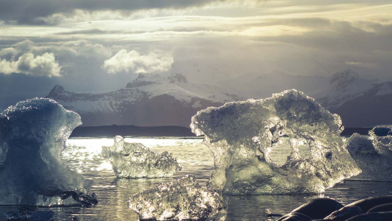 Изменение климата уже нанесло непоправимый вред экосистемам нашей планеты. Фото.