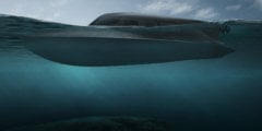 Создан подводный катер для военных водолазов. Для чего он нужен? Фото.