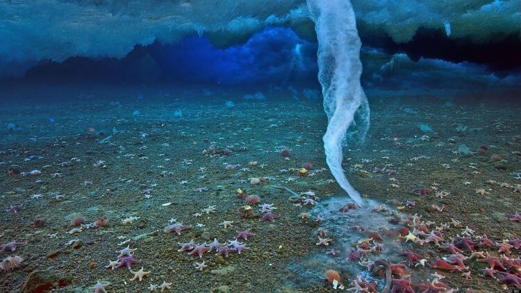 Может ли замерзнуть океан? Брайникл или подводная “сосулька смерти” способна моментально уничтожить все живое в ее окрестности. Фото.