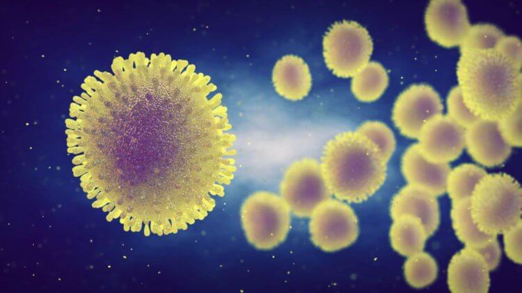 Угроза биотерроризма. Геном вируса гриппа имеет последовательность примерно из 1000 нуклеотидов. Даже не смотря на такое малое количество, ученым удалось создать код, который значительно усилил вирус H5N1. Фото.