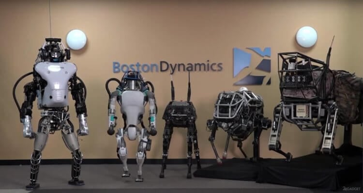Какие роботы существуют сегодня? На фото знаменитые на весь мир роботы Boston Dynamics. Фото.
