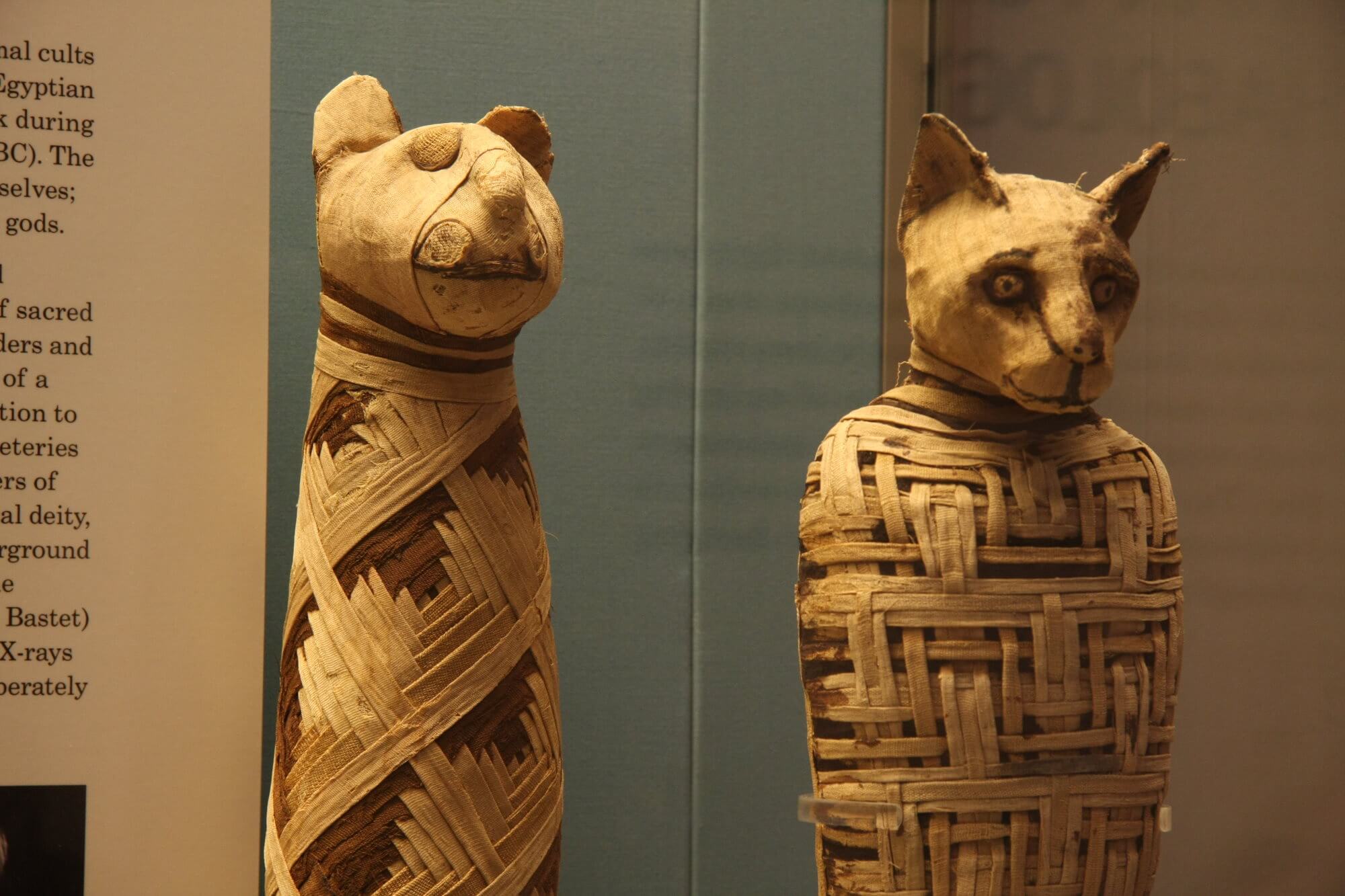 Кошки в Древнем Египте — Википедия