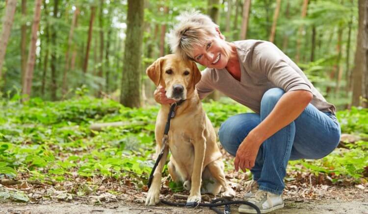 Как домашние животные влияют на здоровье? Прогулки с собакой в парке — лучшее лекарство. Фото.