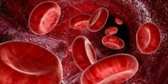 Может ли группа крови влиять на характер человека? Фото.