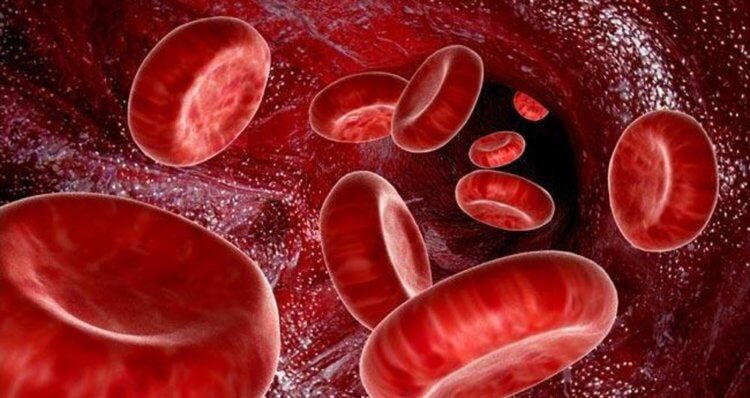 Может ли группа крови влиять на характер человека? На мембране эритроцитов существуют сотни антигенов и за их наличие полностью отвечает генетика. Для системы АВО большое значение имеют только два антигена. Именно по наличию или отсутствию антигенов А или В определяют группу крови. Фото.