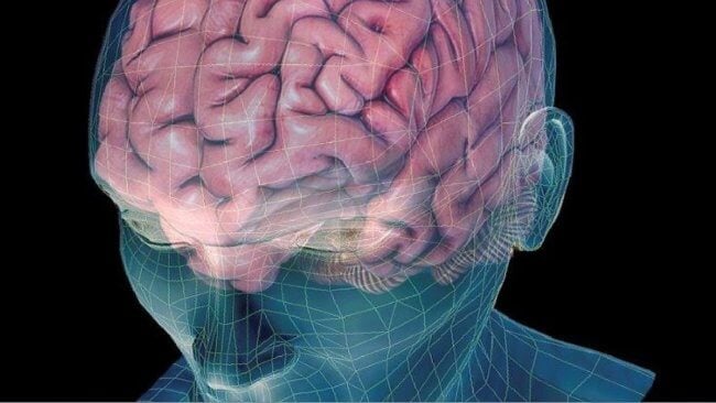 Как мозг создает и извлекает воспоминания? Фото.