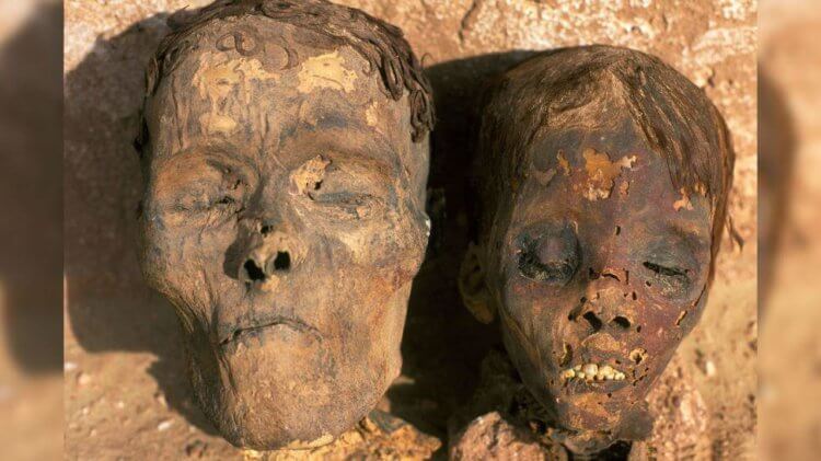 Ученые выявили наличие сердечно-сосудистых заболеваний у 4000-летних мумий. В качестве образца ученые использовали артерии мумий из Оазиса Дахла в Египте. Фото.