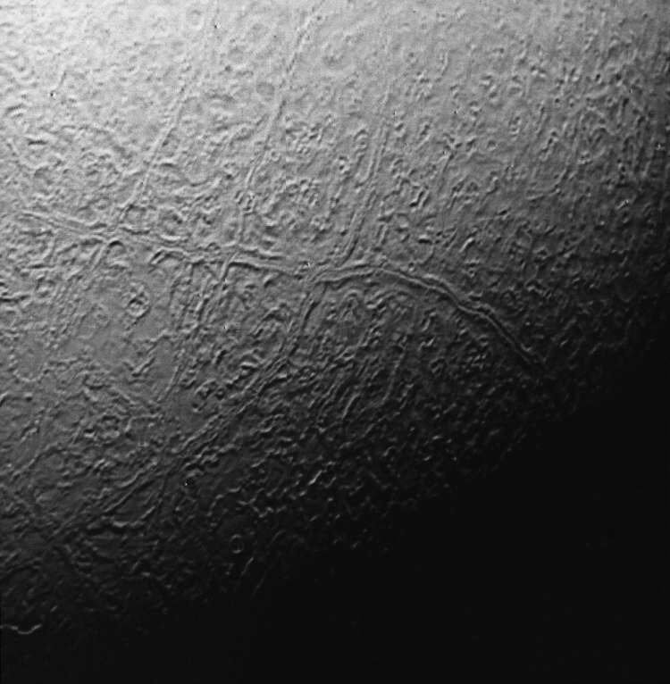 Как выглядит Тритон? Поверхность Тритона в регионе “дынной корки”. Фото.