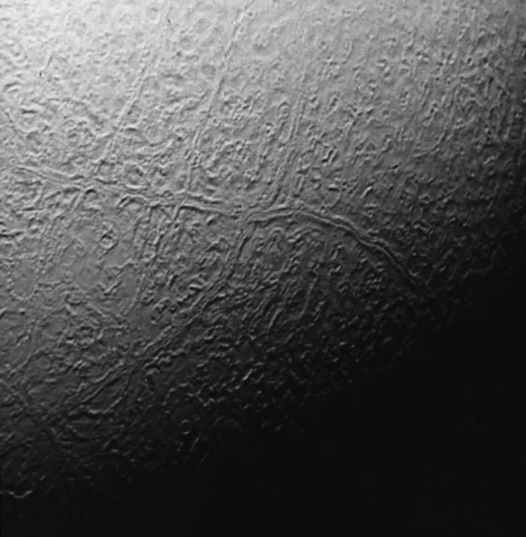 Поверхность Тритона в регионе “дынной корки”. Фото.