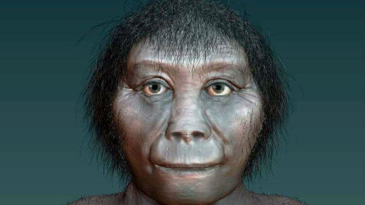 Почему вымершие человеческие родственники были “хоббитами”? Несмотря на то, что Homo floresiensis сильно напоминал общими характеристиками современного человека, его рост составлял всего лишь около 1 метра в высоту. Фото.