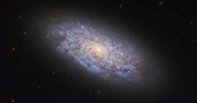 Как формируются большие галактики? Великолепная карликовая галактика в созвездии дракона в объективе телескопа Hubble. Фото.