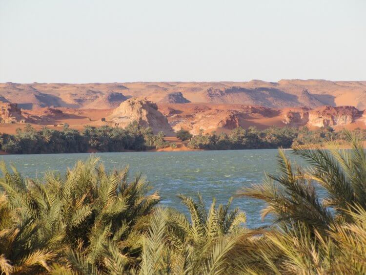 Озеро Чад. Озеро Чад. Фото.