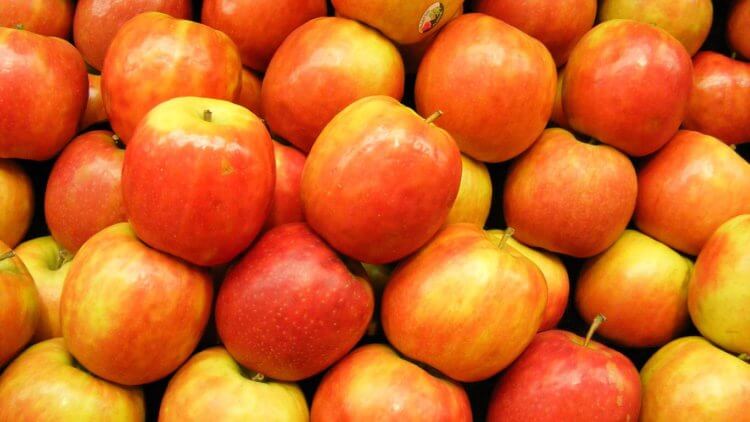 Сколько бактерий содержится в одном яблоке? Яблоки действительно полезны для здоровья, выяснили ученые. Фото.