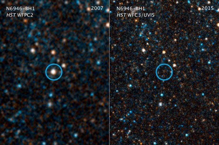 Звезда коллапсирует в черную дыру прямо перед объективом Hubble. Hubble запечатлел сверхновую, которая коллапсировала в черную дыру. Фото.