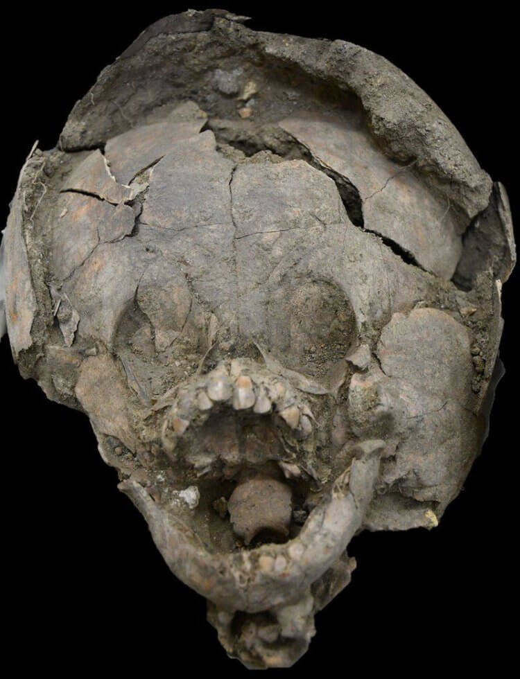 Странная археологическая находка может помочь раскрыть тайны обрядов прошлого. Младенцев хоронили в шлемах, которые были сделаны из черепов других детей. Фото.