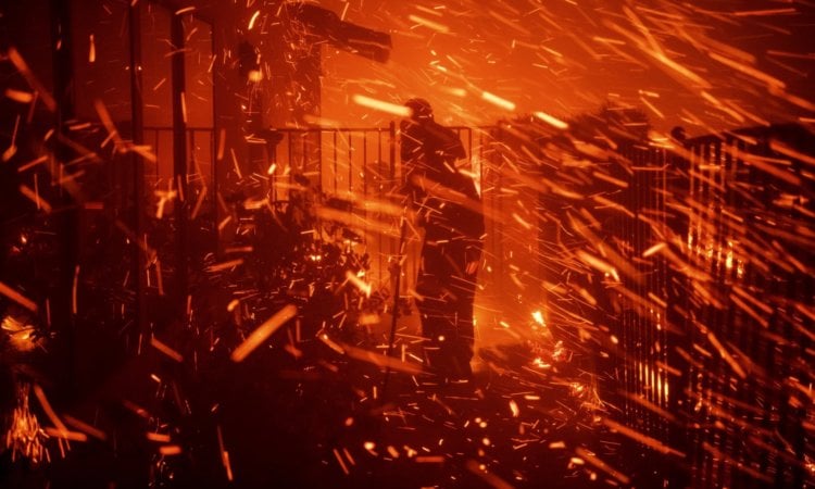 11 тысяч ученых предупреждают: изменение климата может нас уничтожить. Человек использует садовый шланг, чтобы попытаться спасти свой дом от пожара в Гранада Хиллз, Калифорния, 11 октября 2019 года. Фотография: Майкл Оуэн Бейкер. Фото.