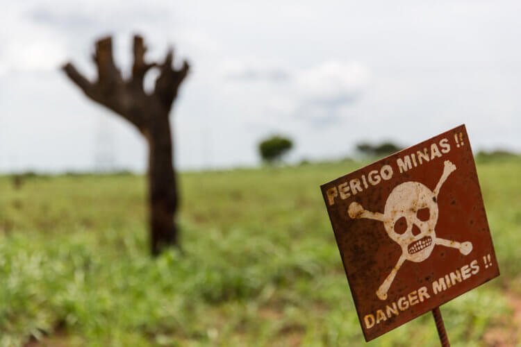 Военные США будут искать мины при помощи бактерий. Слово «мина» происходит от английского «mine», обозначающего подкоп. Фото.