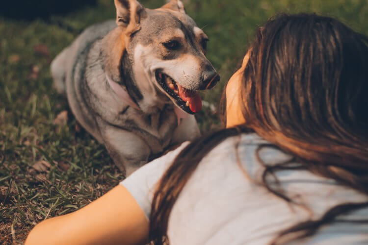 Какие люди лучше распознают эмоции собак? Чем вы взрослее, тем лучше понимаете своих питомцев. Фото.