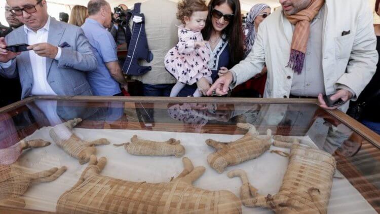 В Египте найдены мумии львов и статуя жука-скарабея. Почему таких открытий стало больше?