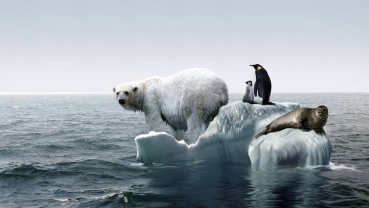 Нефтяные компании знали о риске глобального потепления гораздо раньше нас. Люди забеспокоились о глобальном потеплении гораздо раньше, чем считалось. Фото.