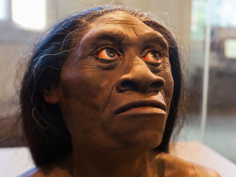 Почему вымерли неандертальцы? Человек флорентийский — один из исчезнувших видов человека. Фото.