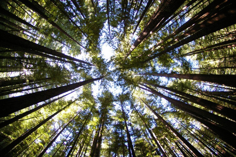 Что будет, если превратить планету в заповедник? В случае принятия законопроекта о заповедных зонах около 760 миллионов человек по всему миру рискуют оказаться под угрозой выселения из своих домов. Фото.