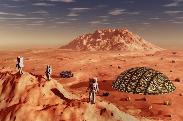 Можно ли вырастить виноград на Марсе? Изучив марсианскую почву, первые колонисты смогут выращивать на Марсе разные сельскохозяйственные культуры. Фото.