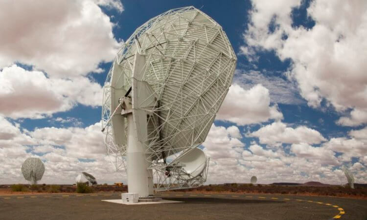 Загадочный радиосигнал озадачил астрономов. Возможно, открыт новый тип Солнечной системы. Радиотелескоп Meerkat. Фото.