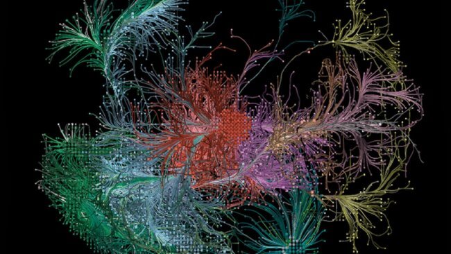 Как клетки мозга составляют карту воспоминаний? Фото.