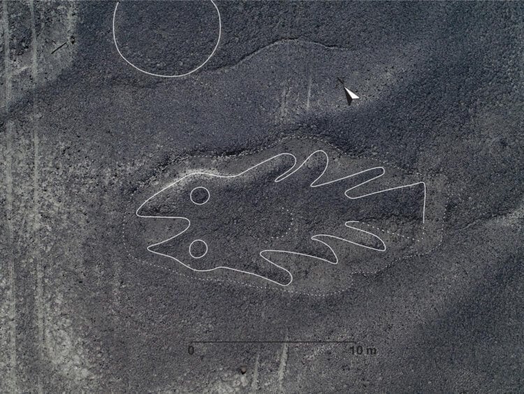 Загадочные рисунки в пустыне. Геоглиф с изображением рыбы. Фото.