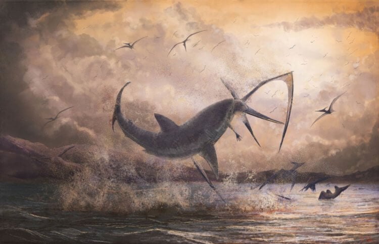 Найдены останки неизвестного ранее вида акул. Рисунок акулы, жившей во времена динозавров. Фото.