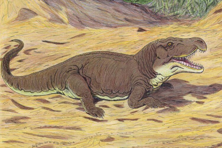Самые опасные хищники древности. Хищные ящеры жили еще до появления динозавров. Фото.