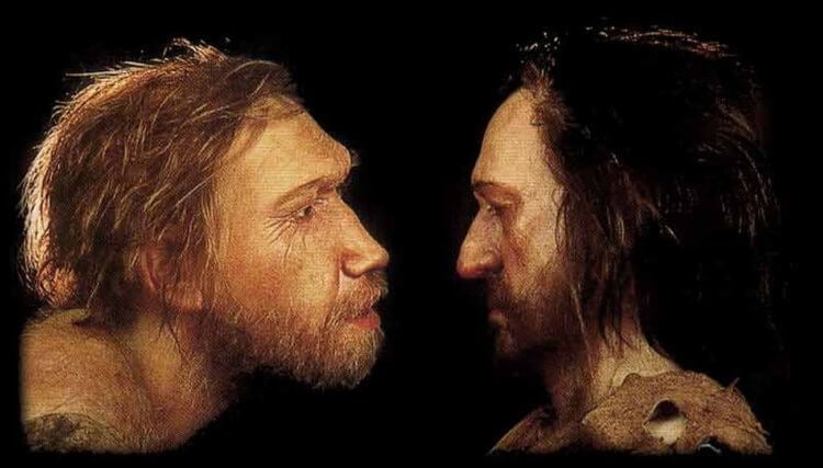 Могли ли кроманьонцы устроить геноцид неандертальцев? Приблизительно 40000 лет назад неандертальцы таинственно исчезли с лица Земли. Могут ли кроманьонцы нести за это ответственность? Фото.