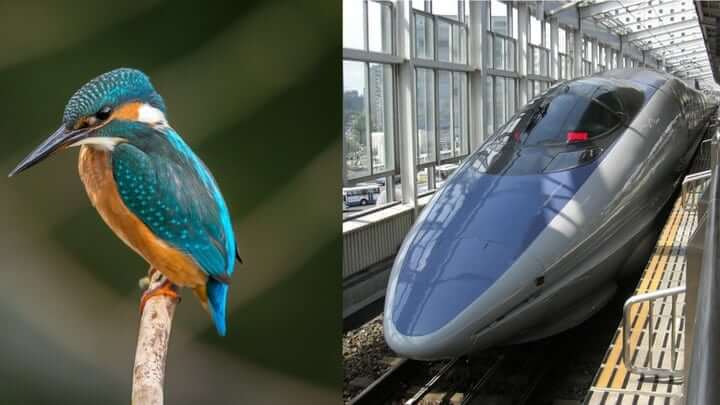 Поезда будущего с птичьим клювом. Зимородок и усовершенствованный японский поезд. Фото.