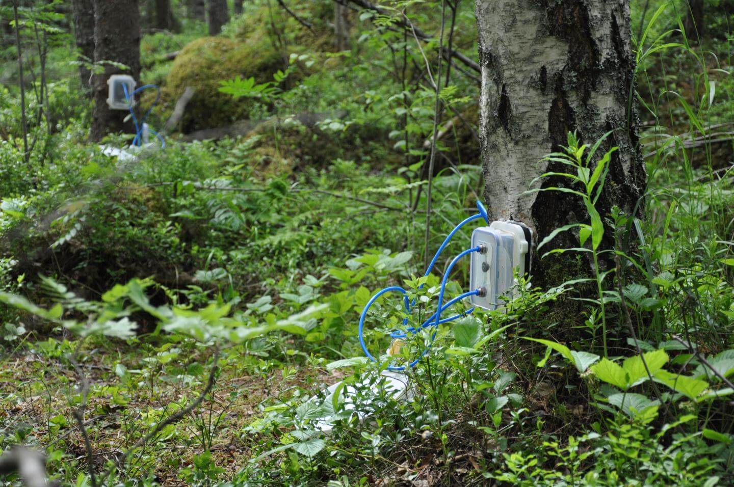 Помимо станции SMEAR II, исследователи использовали и дополнительное оборудование. Фото.