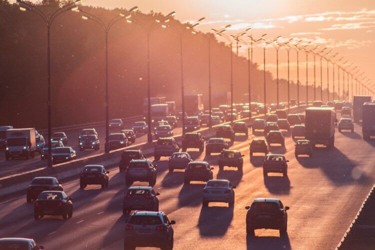 Является ли шум загрязнителем окружающей среды? Шум автомобилей вредит несомненно вредит животным и даже людям. Фото.