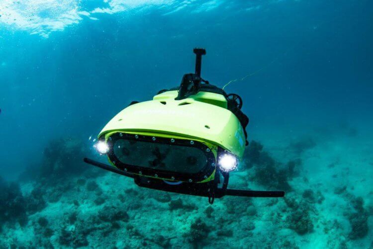 Можно ли восстановить Большой Барьерный Риф? LarvalBot — устройство, с помощью которого ученые надеются восстановить Большой Барьерный Риф. Фото.