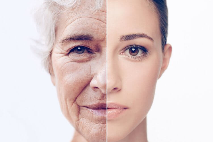 Старение организма происходит в три этапа: в 34, 60 и 78 лет. Оказалось, что мы стареем резко и в три этапа. Фото.