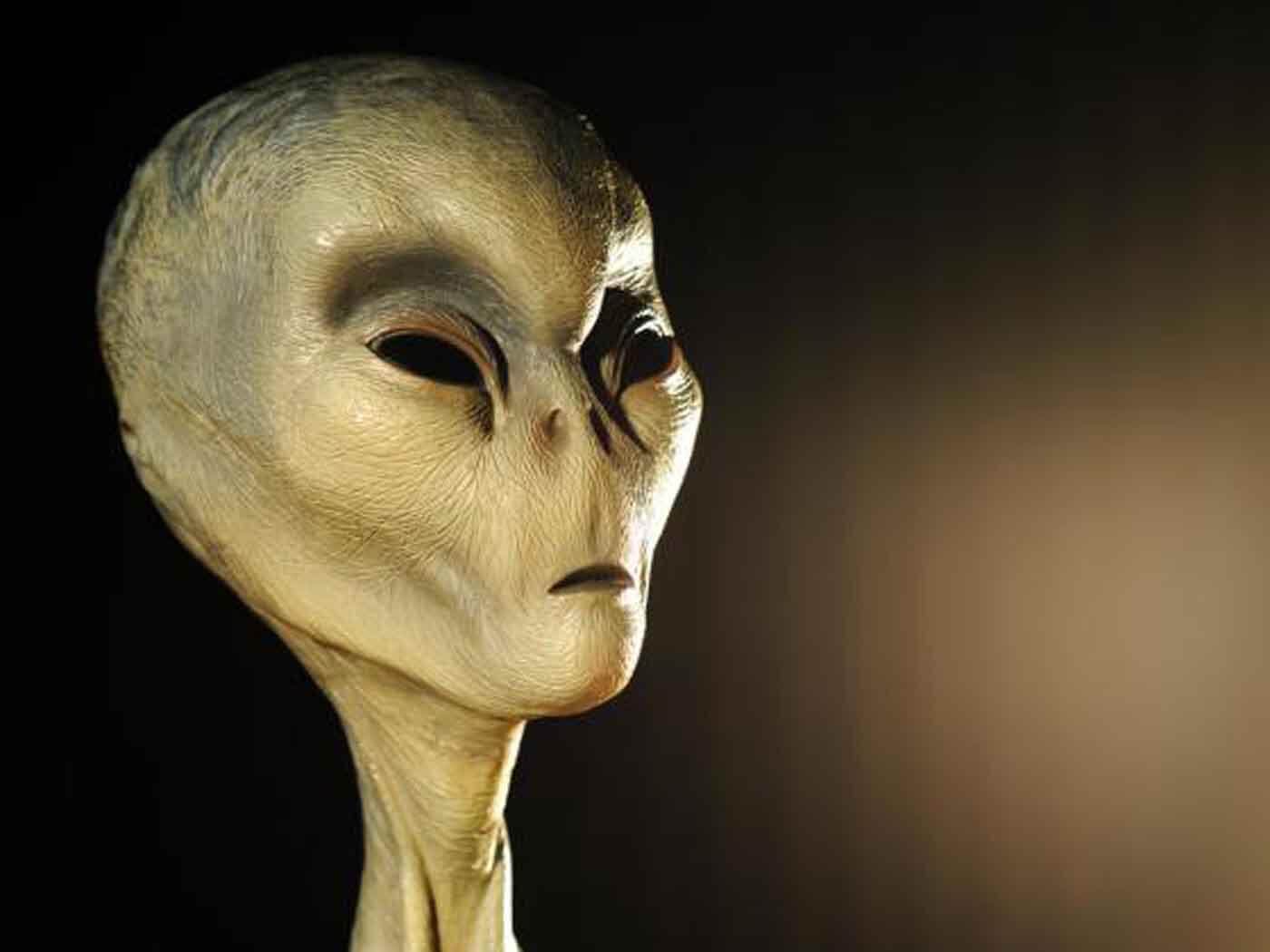 Такими инопланетян изобразили создатели “Секретных материалов”. У режиссеров и сценаристов других голливудских фильмов и сериалов, похоже, проблемы с фантазией. Фото.