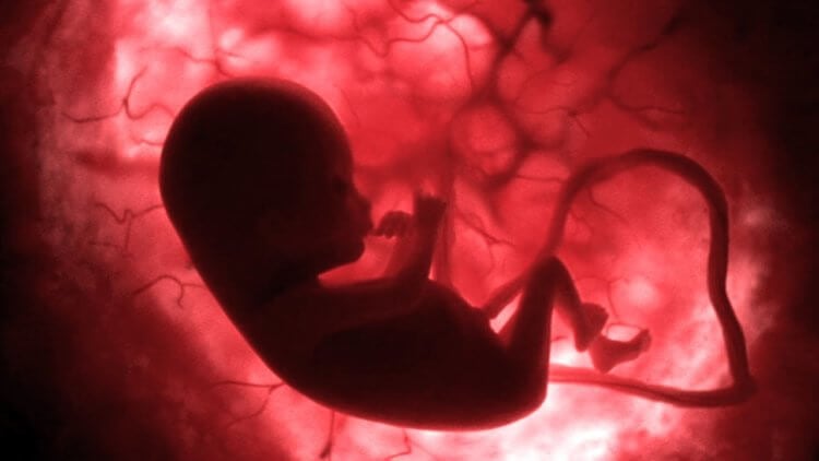 Что видят младенцы в утробе матери? Свет способен проникать сквозь ткани матери и плод способен его видеть. Фото.