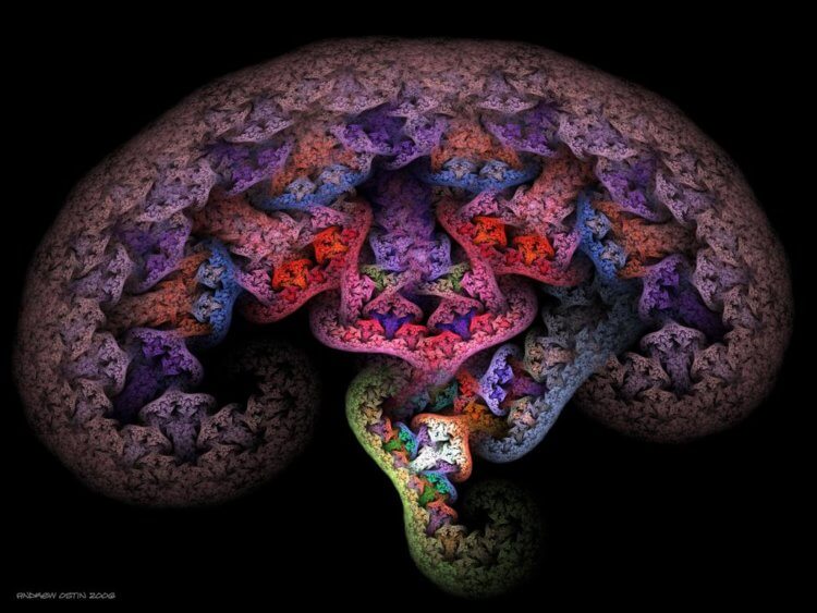 Как наркотики разрушают мозг? Побороть вредную привычку на самом деле очень сложно, так как любое вещество, вызывающее зависимость меняет работу мозга. Фото.
