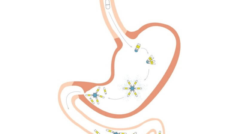 Противозачаточные средства, которые можно пить раз в месяц. Схематичное изображения рабочего цикла таблеток. Фото.